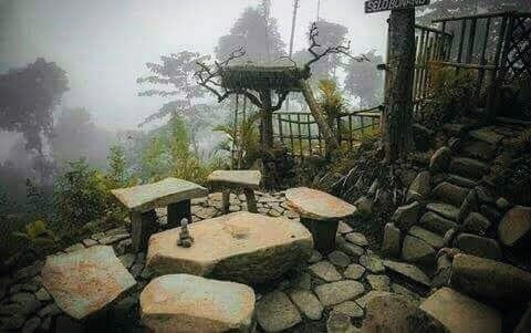 yanabi