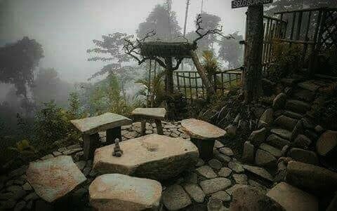 yanabi