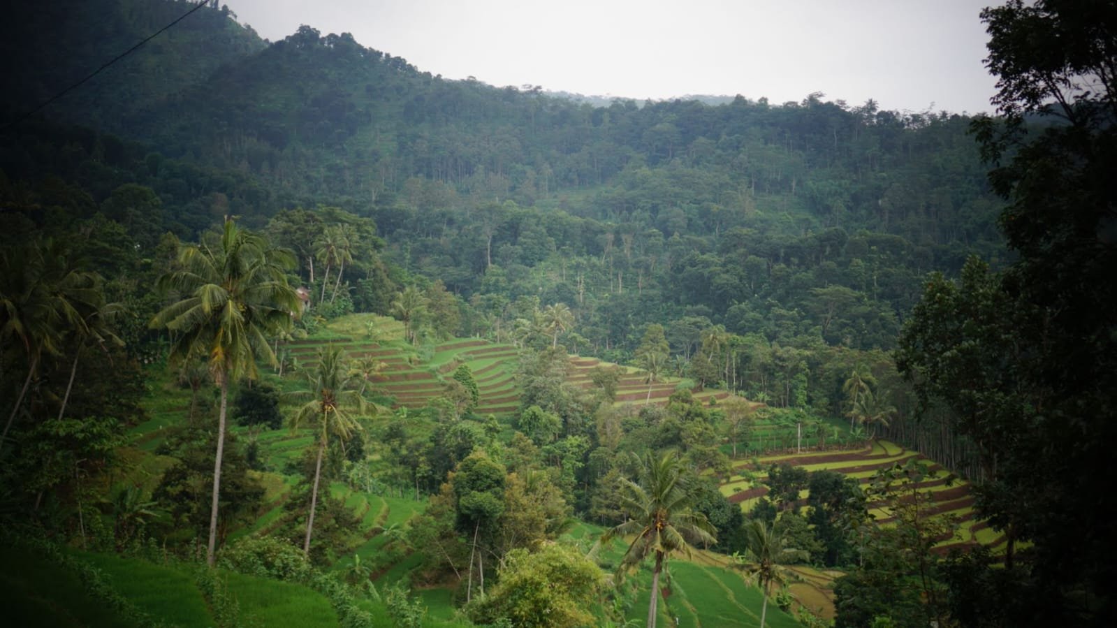 Lanscape Dusun Sumbercandik