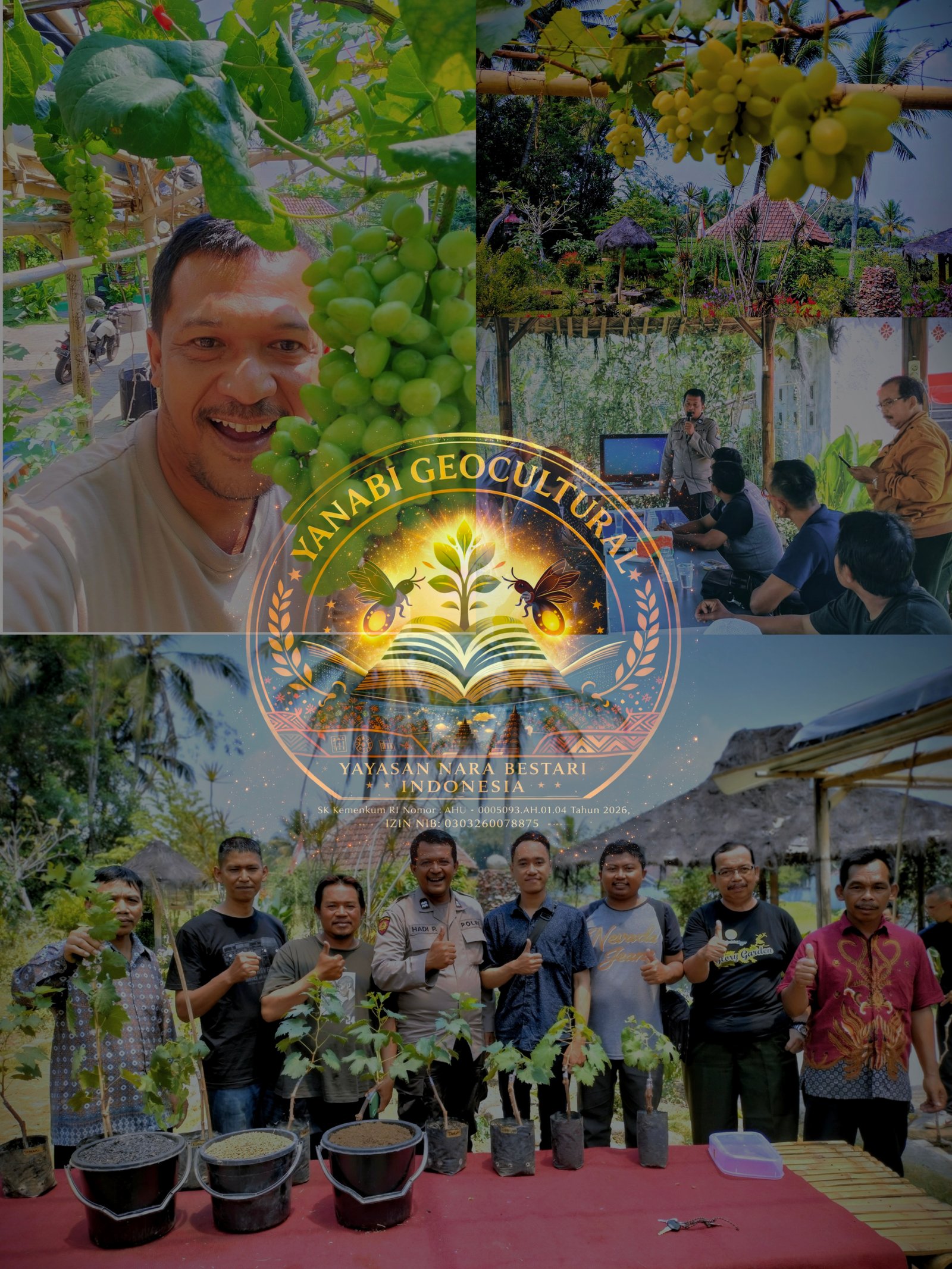 Kebun Permakultur : 60 m² Pekarangan Menjadi Agrowisata Anggur Bernilai Puluhan Juta